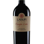 Amarone Campo Leon Docg MAGNUM