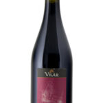 Cabernet Sauvignon Vallagarina Igt