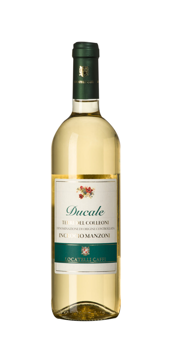 Ducale Manzoni Terre del Colleoni Doc - immagine 1