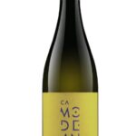 Friulano-doc-Modeano