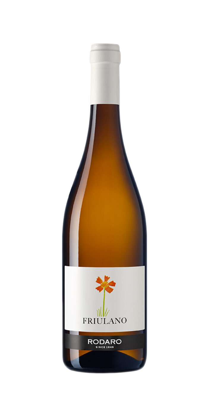 Friulano Dop - immagine 1