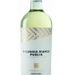 Malvasia Bianca Puglia