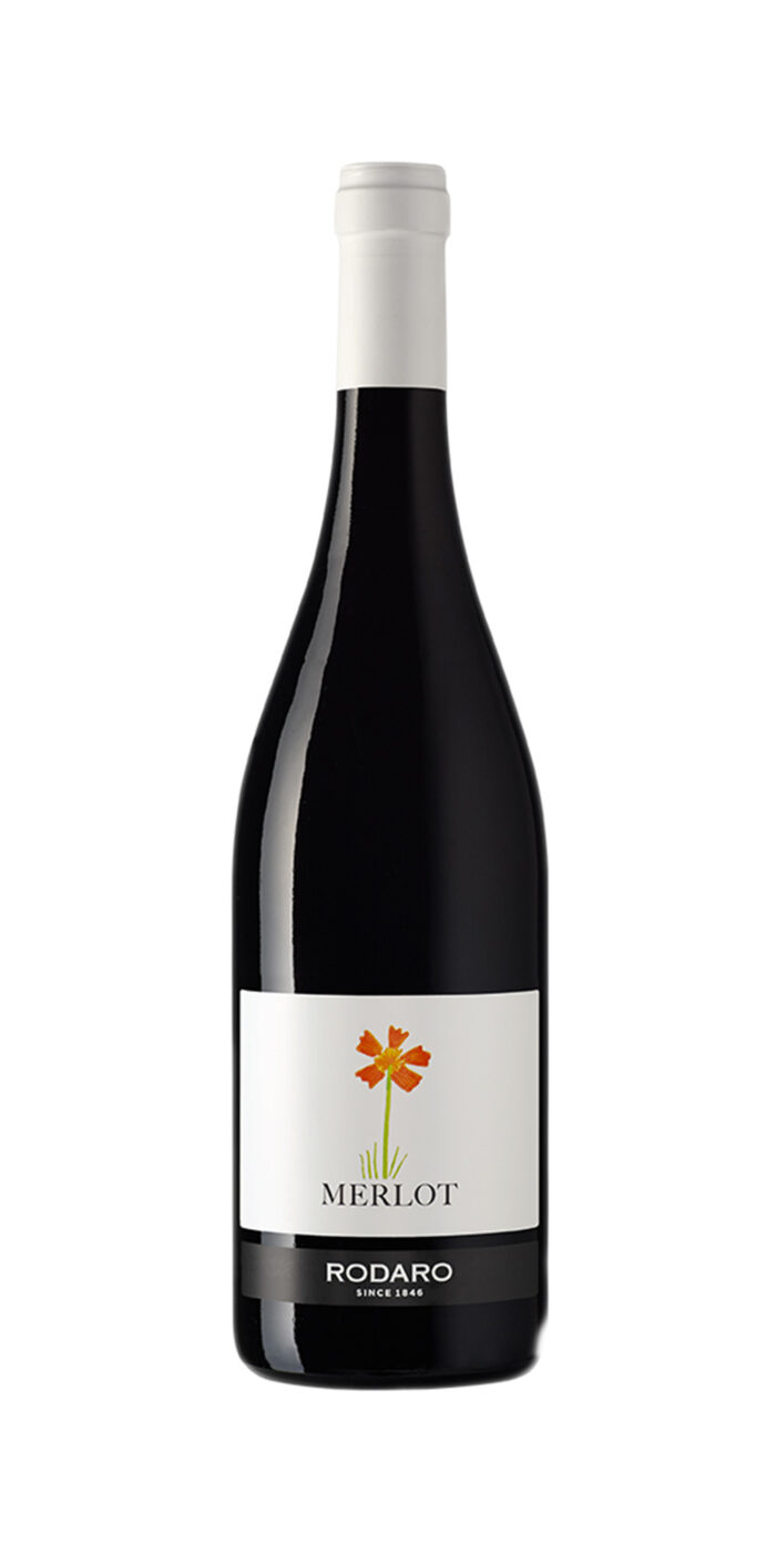 Merlot Dop - immagine 1