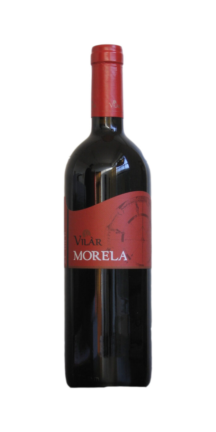 Morela Igt Vallagarina - immagine 1