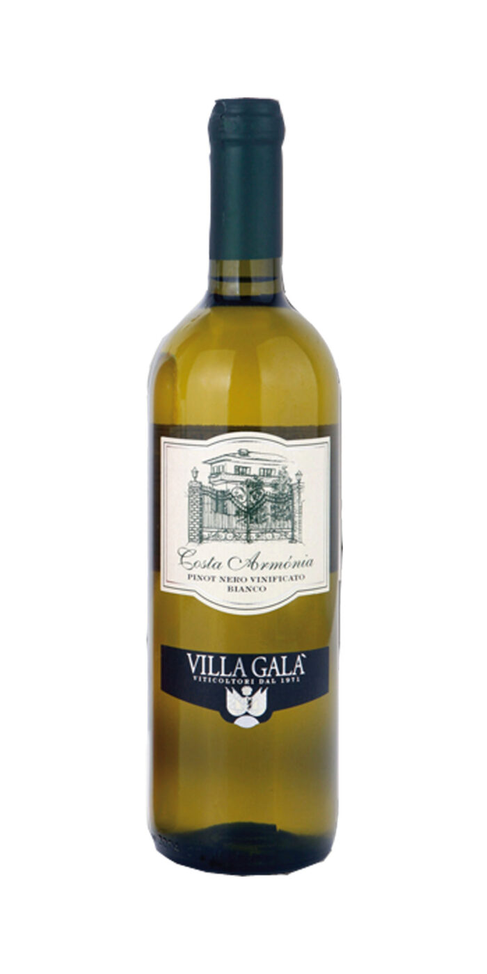 Pinot Nero in Bianco Vivace Igt - immagine 1