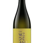 Sauvignon-doc-Modeano