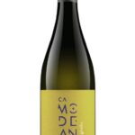 Ribolla-Gialla-igt-Modeano